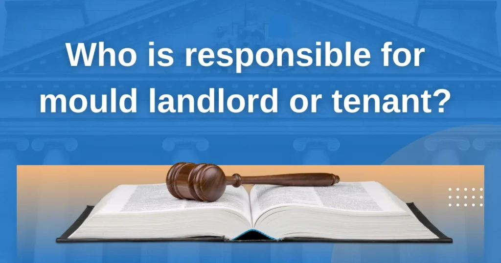 Who Is Responsible for Mould Landlord or Tenant UK? A Clear Legal Guide